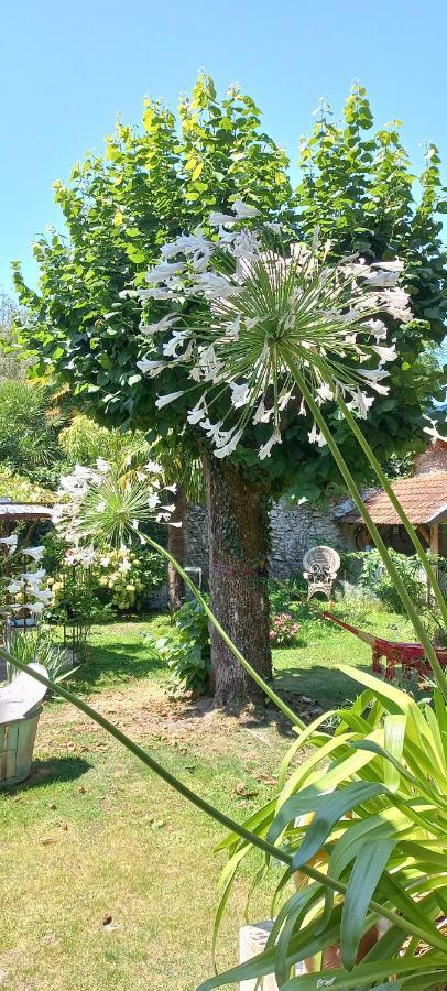 Bagnères-de-Bigorre Villa Hortensia المظهر الخارجي الصورة